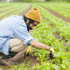 Raad tending to plants in a field wearing a yellow beanie and blue jacket.